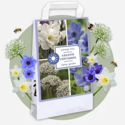 Best Blomsterløg - 35 stk - Sunny Garden Box - Anemone, Allium, Påskelilje Frø