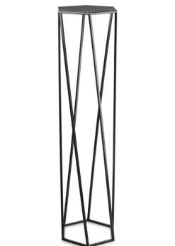 Plantestativer^Blomsterstander til planter sort 100 cm