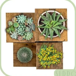 Online Blomsterstativ, hylde til blomster, planter, potter, fritstående, 4 hylder, loft Plantestativer