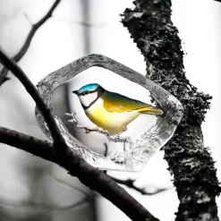 Clearance Blue Tit - Målerås Til Fugle & Småvildt
