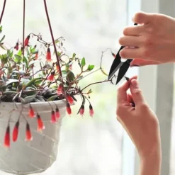 Haveværktøj^Bonsai Beskæresaks Mini Bonsaisaks Små Haveskærere til Knopper og Blade
