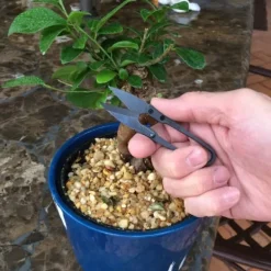 Haveværktøj^Bonsai Beskæresaks Mini Bonsaisaks Små Haveskærere til Knopper og Blade