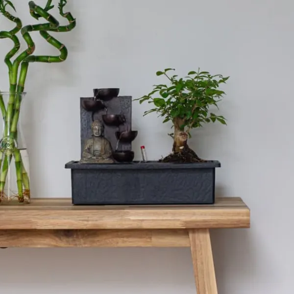 Springvand & Damme^Bonsai med vattenfal - Bonsai - Højde 25-35cm - ⌀29cm