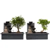 Hot Bonsai med vattenfal - Sæt med 2 - Bonsai - Højde 25-35cm - ⌀29cm Springvand & Damme