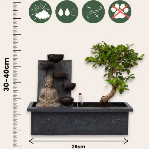 Hot Bonsai med vattenfal - Sæt med 2 - Bonsai - Højde 25-35cm - ⌀29cm Springvand & Damme