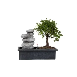 Krukkeplanter Indendørs^Bonsai træ med vandfald - Bonsai - Højde 25-35cm - ⌀29cm