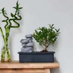Krukkeplanter Indendørs^Bonsai træ med vandfald - Bonsai - Højde 25-35cm - ⌀29cm