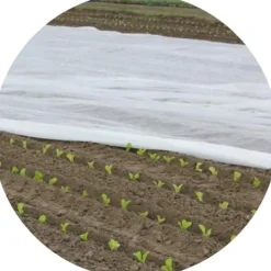Haveduge^Bradas agrotekstil 320x1000cm 17 g/m² AWW1732010