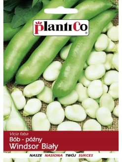 Best Bredbønne Hvid Windsor 50g PlantiCo frø Frø