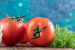 Gødningsmidler^Brændenældegødning Naturligt koncentrat til pottetomatplanter 0,5 l