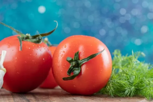 Gødningsmidler^Brændenældegødning Naturligt koncentrat til pottetomatplanter 0,5 l
