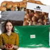 Best Brun svampemycelium 20 kg dyrkningssæt ballesubstrat + tørv 9 kg Kit Til Plante- & Urtedyrkning