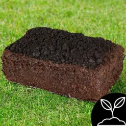 Best Brun svampemycelium 20 kg dyrkningssæt ballesubstrat + tørv 9 kg Kit Til Plante- & Urtedyrkning