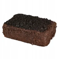 Best Brun svampemycelium 20 kg dyrkningssæt ballesubstrat + tørv 9 kg Kit Til Plante- & Urtedyrkning