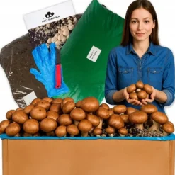 Online Brun svampemycelium 30 kg stort dyrkningssæt Instruktioner + Gratis Kit Til Plante- & Urtedyrkning