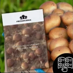 Online Brun svampemycelium 30 kg stort dyrkningssæt Instruktioner + Gratis Kit Til Plante- & Urtedyrkning