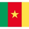 Clearance Cameroun flag Flag & Vindposer