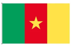 Clearance Cameroun flag Flag & Vindposer