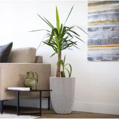 Sale Capi Elegant vas Groove 34x46 cm elfenben 445498 Krukker & Plantebeholdere