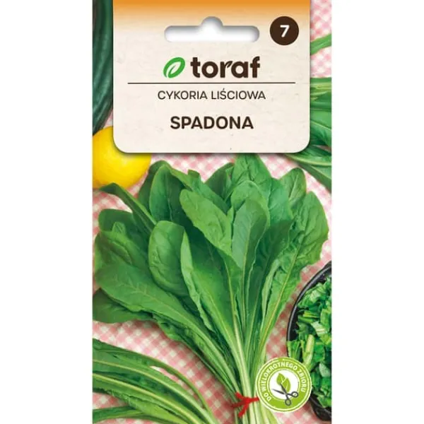 Best Cikoriefrø Spadona - middelalderlig og meget frugtbar sort Frø