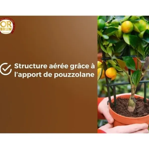 Discount Citrus- och medelhavsväxter Jord - BRUNT GULD - OBRTAGR6U - 6L - Olivträd Palmer och cycas Jord & Sand