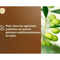 Discount Citrus- och medelhavsväxter Jord - BRUNT GULD - OBRTAGR6U - 6L - Olivträd Palmer och cycas Jord & Sand