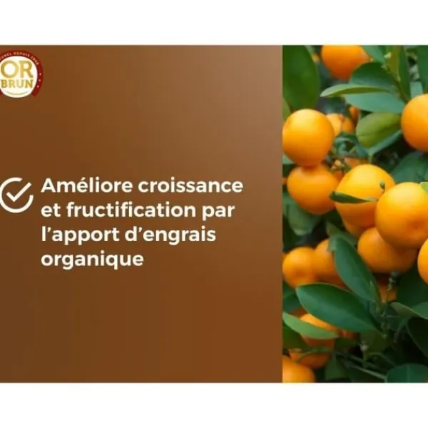 Jord & Sand^Citrus- og middelhavsplantejord - BRUN GULD - OBRTAG20N - 20 L