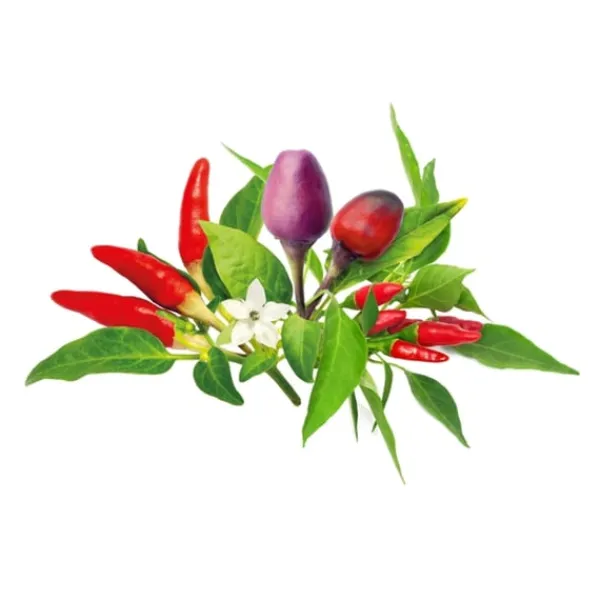 Discount Click & Grow - Smart Garden Refill 9-pak chilipeberblanding Krukkeplanter Indendørs