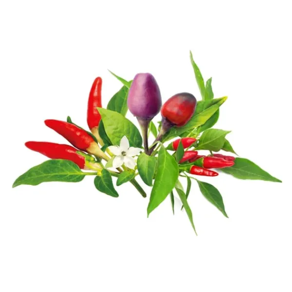Discount Click & Grow - Smart Garden Refill 9-pak chilipeberblanding Krukkeplanter Indendørs