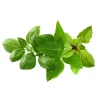 Kit Til Plante- & Urtedyrkning^Click & Grow - Smart Garden Refill 9-pak Basil Variety Mix