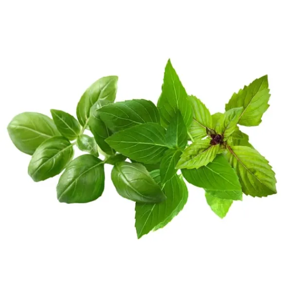 Kit Til Plante- & Urtedyrkning^Click & Grow - Smart Garden Refill 9-pak Basil Variety Mix