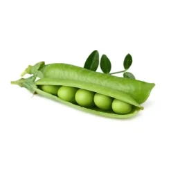 Kit Til Plante- & Urtedyrkning^Click & Grow - Smart Garden Refill 3-pak dværgærter