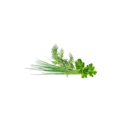 Hot Click & Grow plantekapsel klassisk pyntblanding 9 stk. Kit Til Plante- & Urtedyrkning
