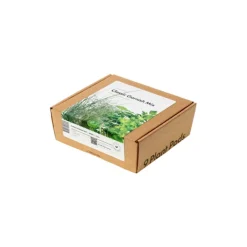Hot Click & Grow plantekapsel klassisk pyntblanding 9 stk. Kit Til Plante- & Urtedyrkning