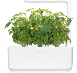 Best Click & Grow Smart Garden refill Thai Basilikum 3 stk Kit Til Plante- & Urtedyrkning