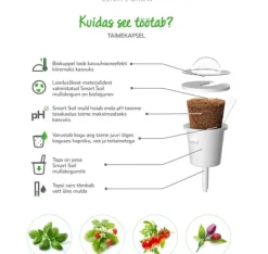 Best Click & Grow Smart Garden refill Thai Basilikum 3 stk Kit Til Plante- & Urtedyrkning