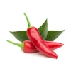 Kit Til Plante- & Urtedyrkning^Click & Grow Smart Garden refill Chili Pepper 3 stk