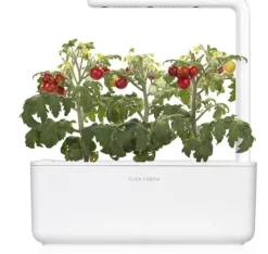 Kit Til Plante- & Urtedyrkning^Click & Grow Smart Garden refill Mini Tomat 3 stk
