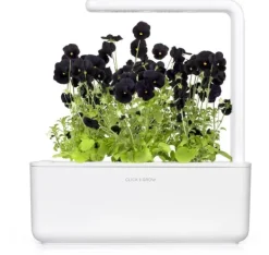 New Click & Grow Smart Garden refill Sort stedmoderblomst 3 stk Blomster