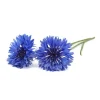 Blomster^Click & Grow- Smart Garden Refill 3-pak Kornblomst
