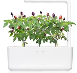 Click & Grow Smart Garden refill Lilla Chili Pepper 3 stk Kit Til Plante- & Urtedyrkning
