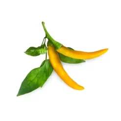 Outlet Click & Grow Smart Garden Refill 3-pak gul chilipeber Kit Til Plante- & Urtedyrkning