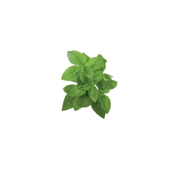 Kit Til Plante- & Urtedyrkning^Click & Grow Smart Garden refill Dværgbasilikum 3 stk