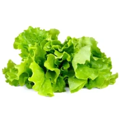 Sale Click & Grow Smart Garden Refill 3-pak - Grøn salat (SGR32X3) Kit Til Plante- & Urtedyrkning