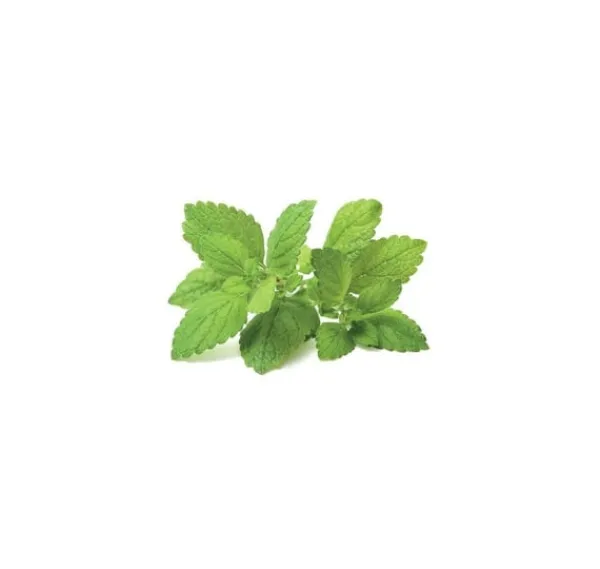 Sale Click & Grow Smart Garden refill Citronmelisse 3 stk Kit Til Plante- & Urtedyrkning