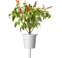 Outlet Click & Grow Smart Garden refill Red Hot Chili Pepper 3 stk Kit Til Plante- & Urtedyrkning
