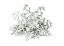 Kit Til Plante- & Urtedyrkning^Click & Grow- Smart Garden Refill 3-pak Dusty Miller