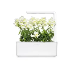 Discount Click & Grow Smart Refill White Snapdragon 3 stk Blomster