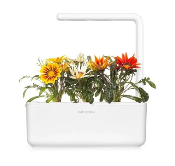Online Click & Grow Smart Refill Gasania 3stk Blomster