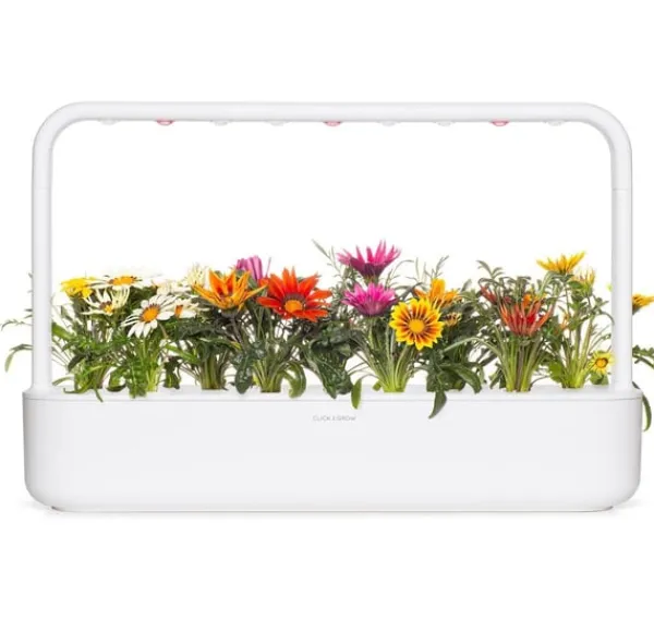 Online Click & Grow Smart Refill Gasania 3stk Blomster